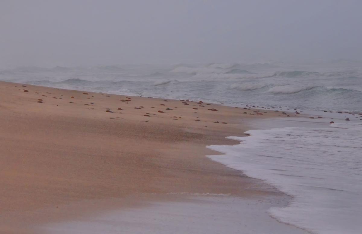 Plage de Socotra