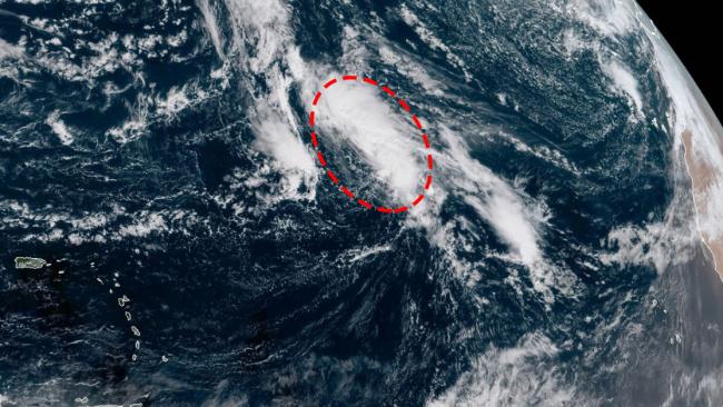 Une tempête tropicale ou subtropicale à venir au nord-est des Petites Antilles?